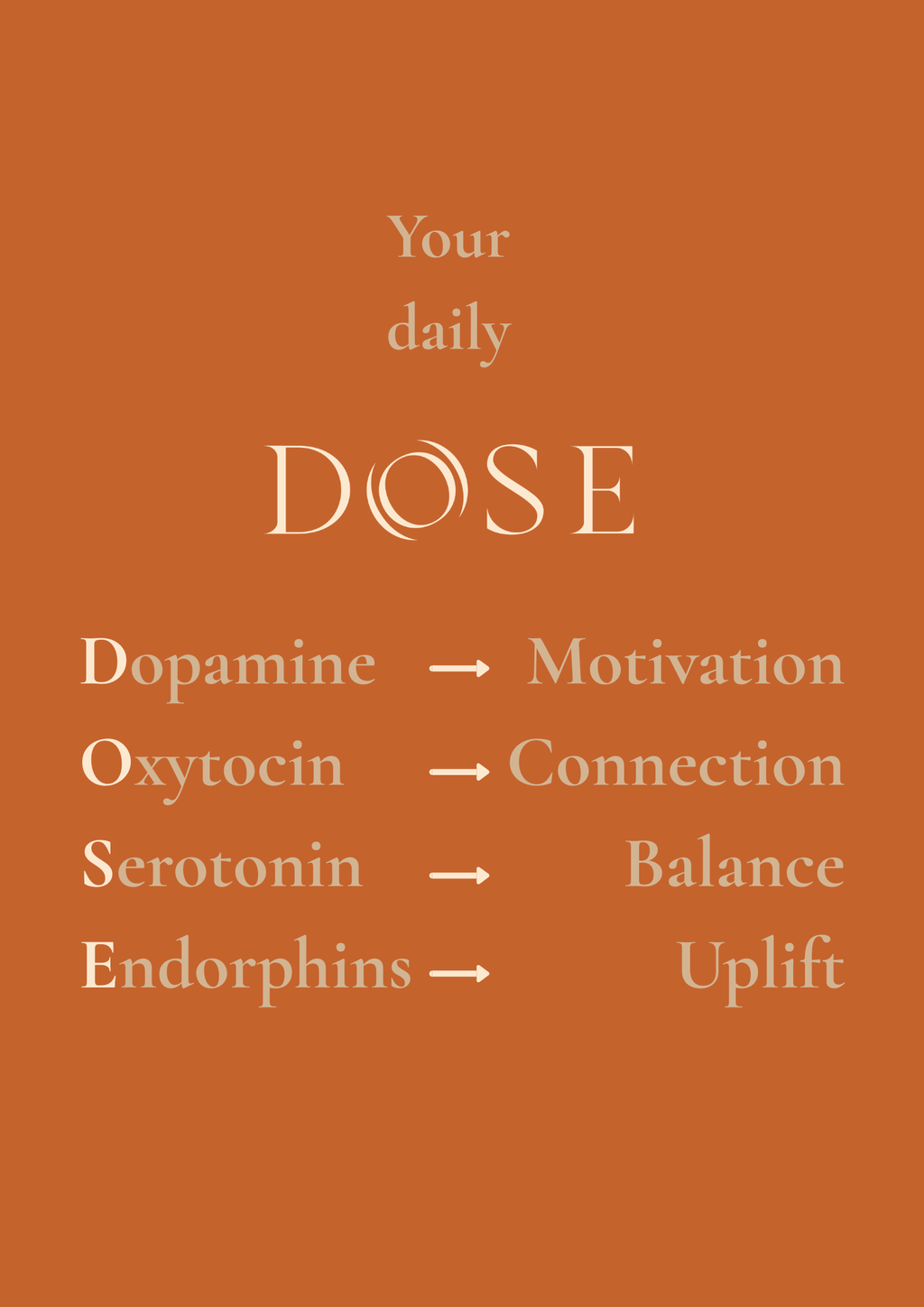 DOSE Ceremonial Cacao – The Daily