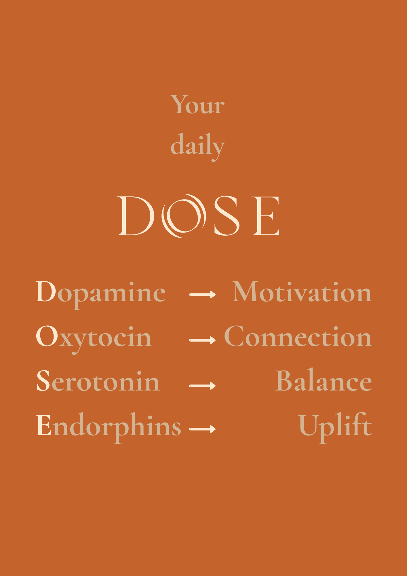 DOSE Ceremonial Cacao – The Daily